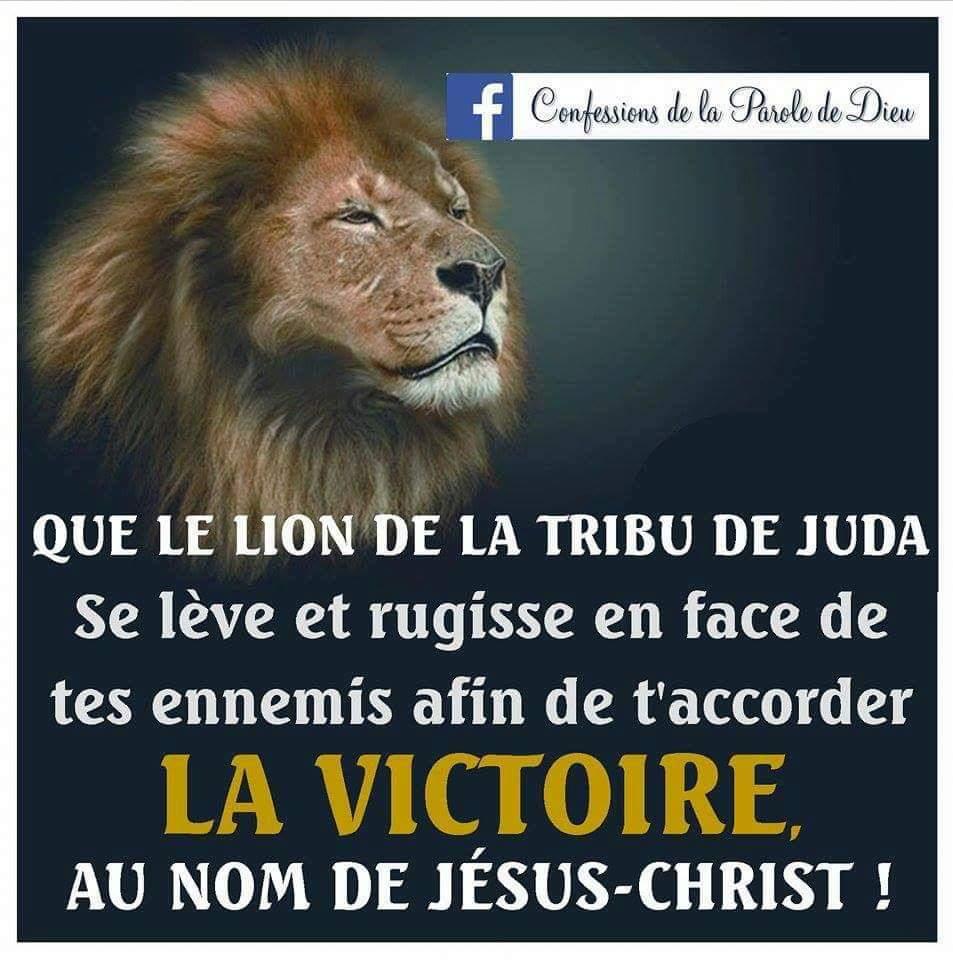 Lion juda leve rugisse face ennemis victoire